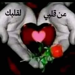 whyb.mhmd.ahmd.alhshash