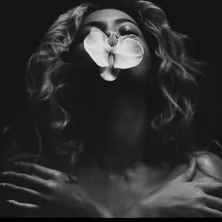 beyhive