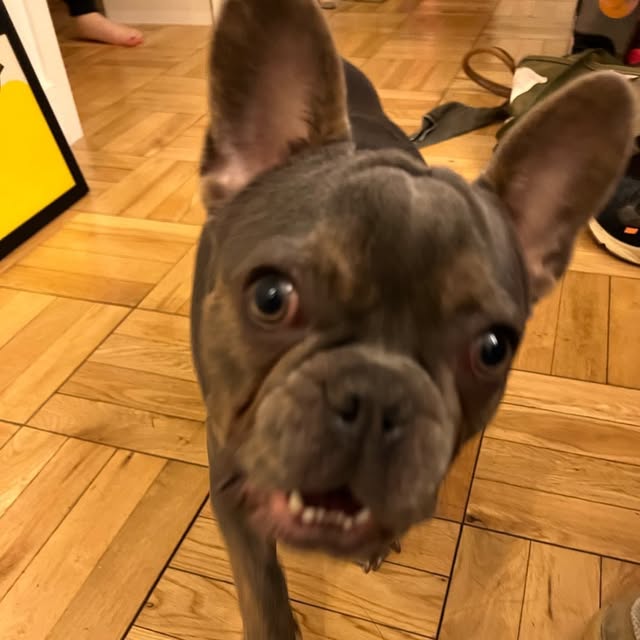 ben