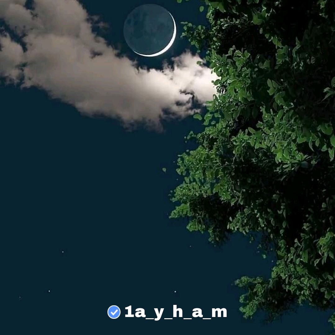 1a_y_h_a_m