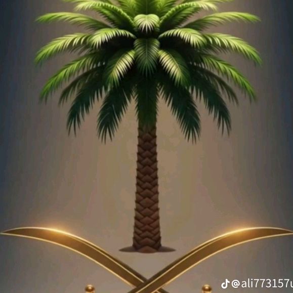 SALEMBASAMH0