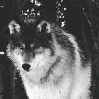 a___k08