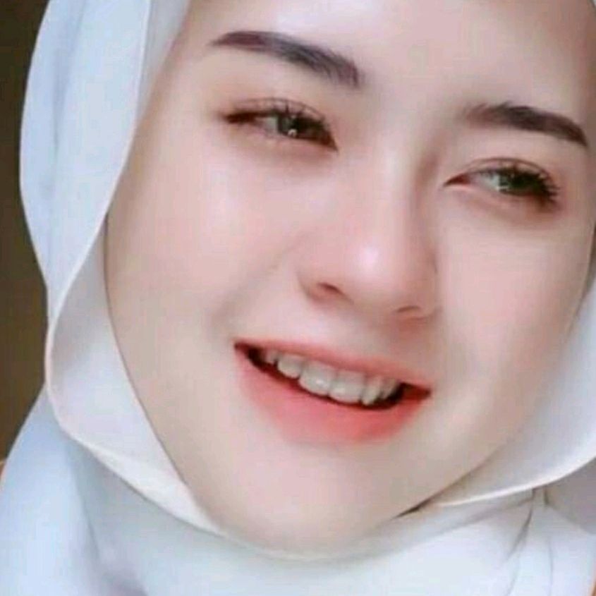 ani.aliaray.ani.a