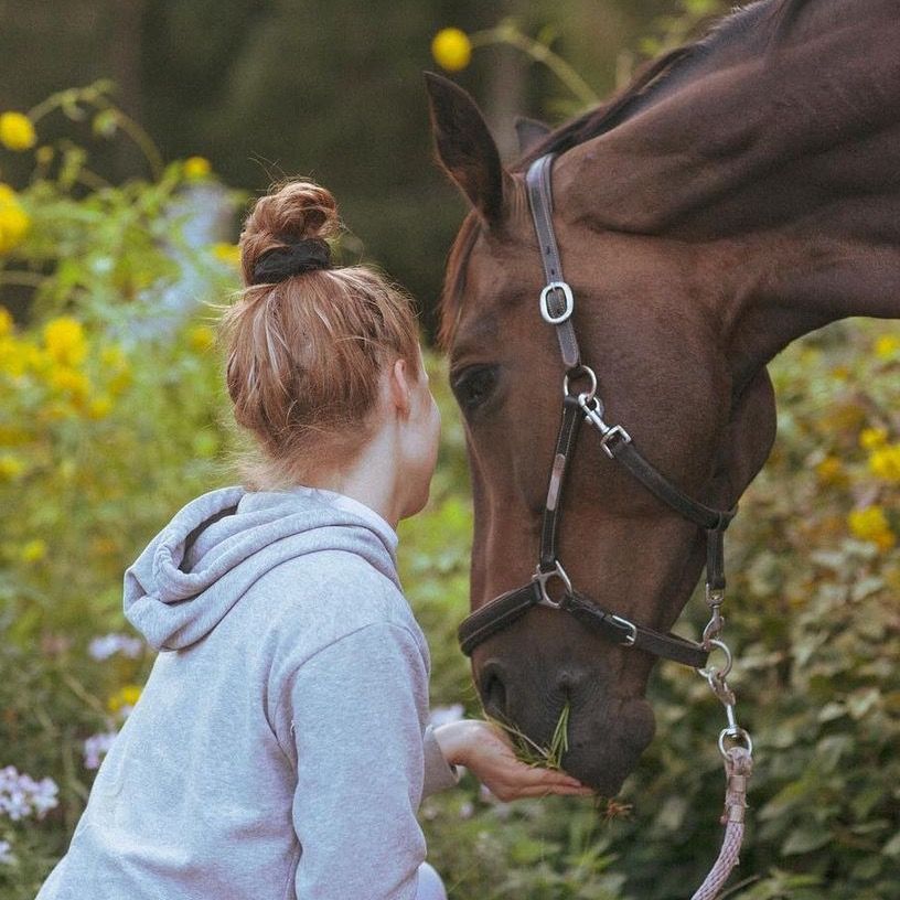 horseylove.yle