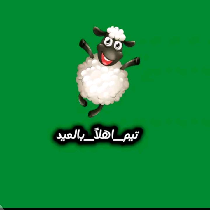 mr_shefoo3