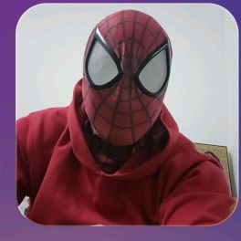 palspiderman