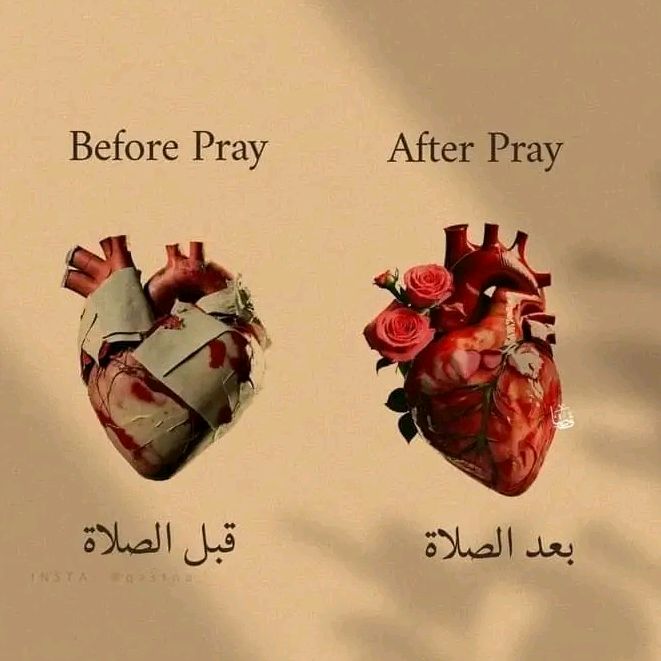 pipoalgerain_49