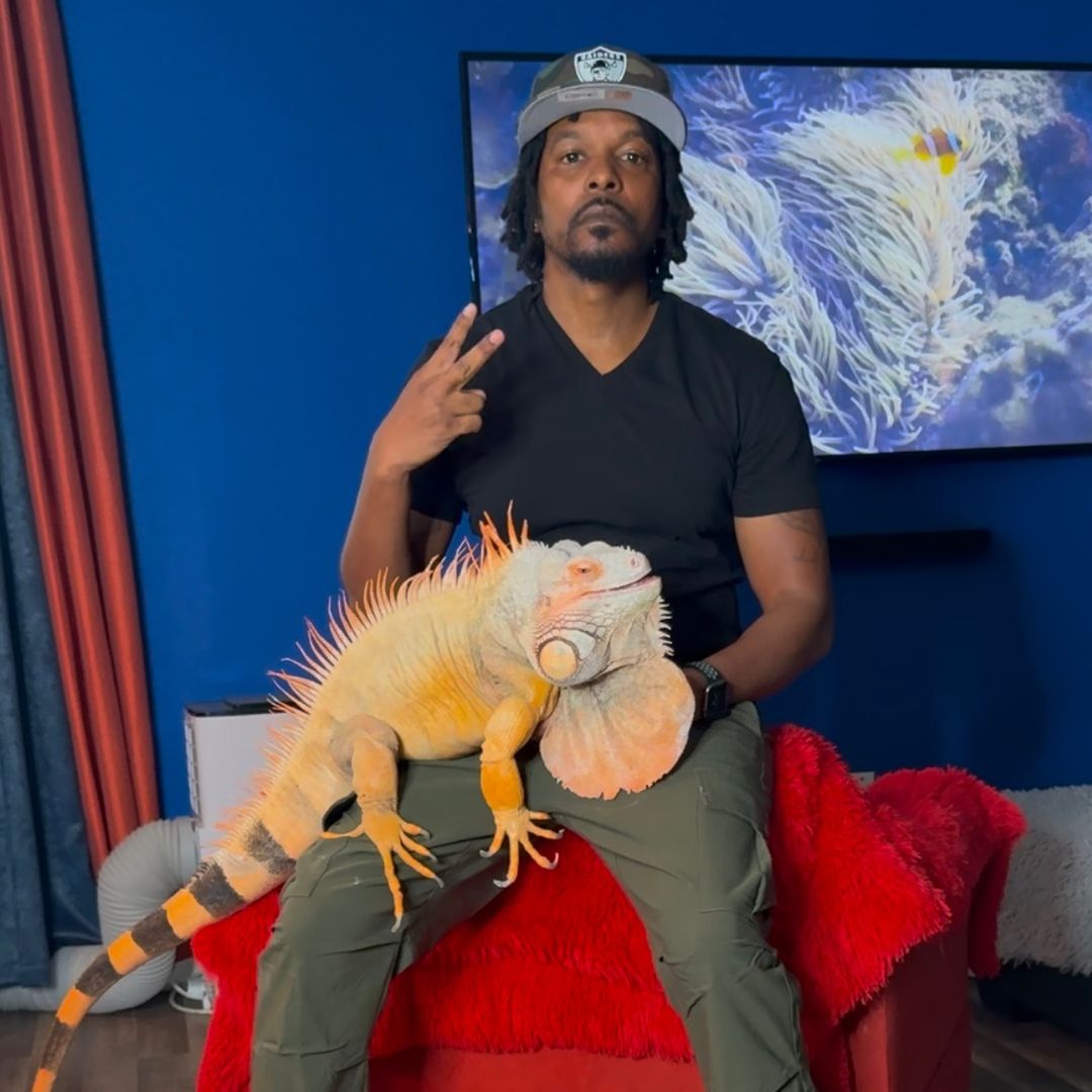 rocket_the_iguana