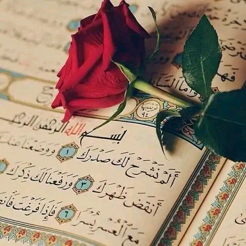salma_el_lkhtib