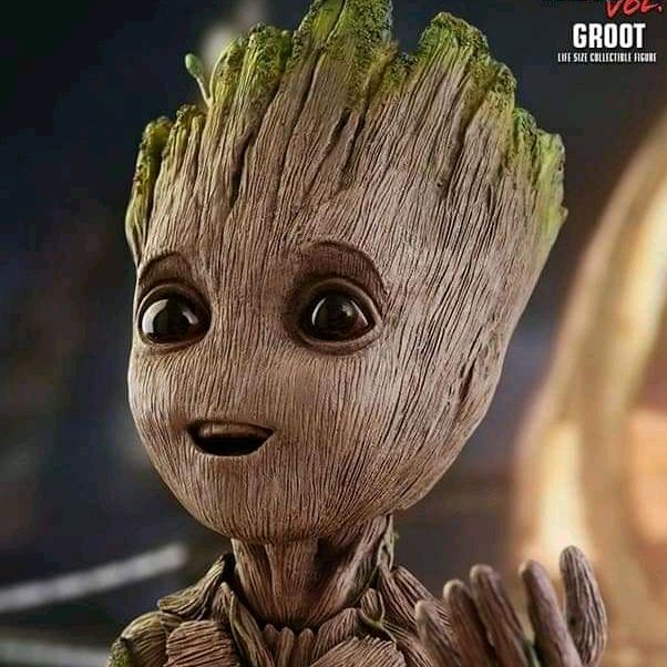 shreifshreif40