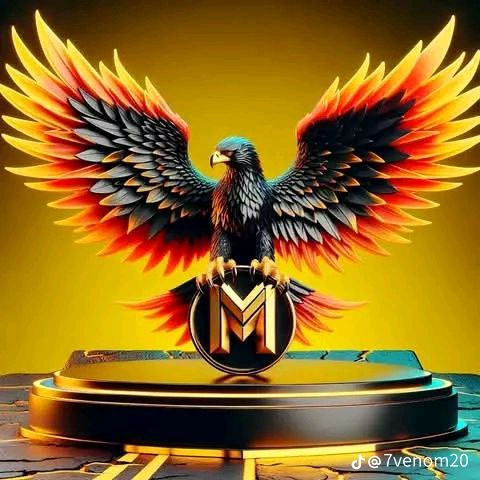user3579056116121