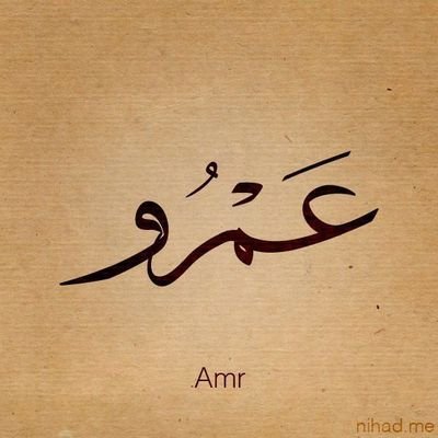 AmrAhmedEid131