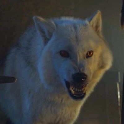 amm