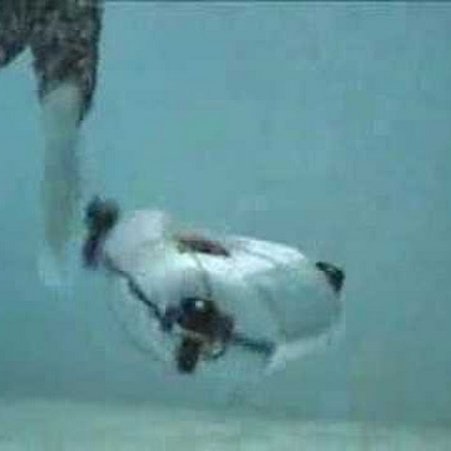 auv